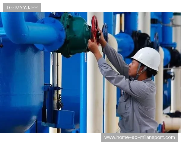 球员保险制度完善推动职业安全感提升