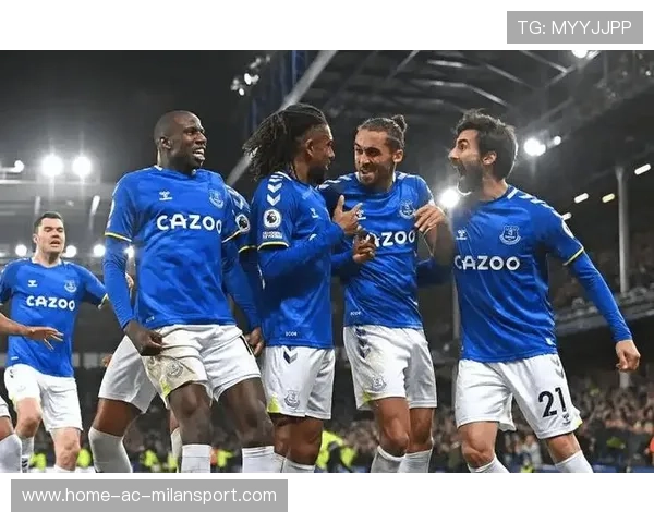 桑德兰1-1埃弗顿，裁判禁区手球判罚引争议。，埃弗顿桑德罗