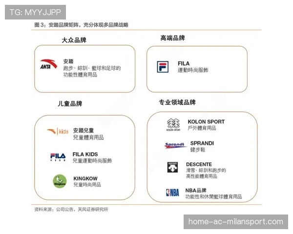 中国体育品牌全球化挑战分析