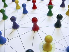 MILAN SPORTS-中国篮球教练员领导力培养路径，中国篮球协会篮球教练员等级